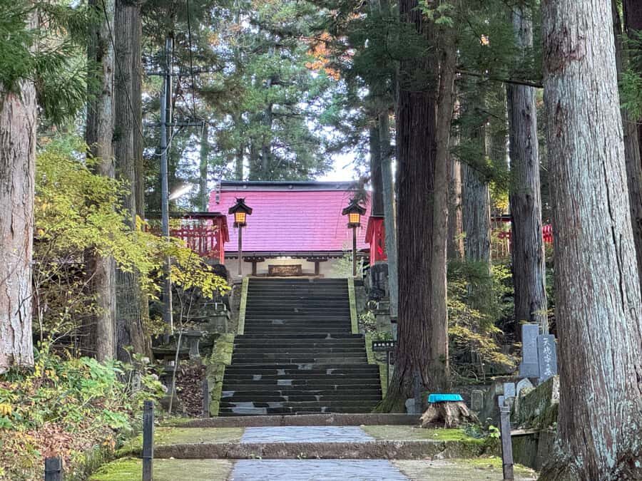 Takayama: Early Morning Guided Walking Tour & Market Visit - A Deep Dive into the Tours Details