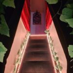 Take Home the Wonder: Magic Show and Magic Lesson Experience - The Itinerary in Detail