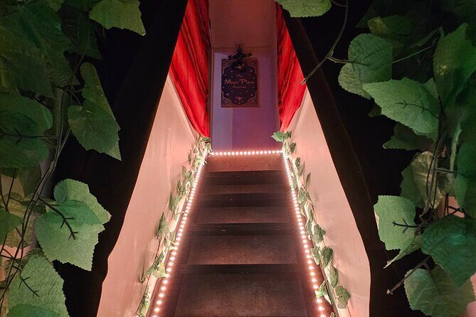 Take Home the Wonder: Magic Show and Magic Lesson Experience - The Itinerary in Detail