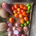 Talangama Wetlands Birdwatching & Local Village Experience - Exploring the Itinerary in Detail