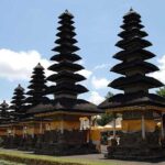 Taman Ayun Temple, Sangeh Monkey Forest, Swing included Transport & Lunch - Who Would Love This Tour?