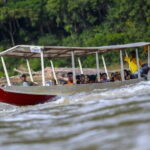 Taman Negara National Park Day Excursion with Canopy Walk from KL - Final Thoughts