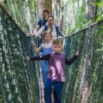 Taman Negara National Park Day Tour with Professional Local Guide - What Travelers Love About This Tour