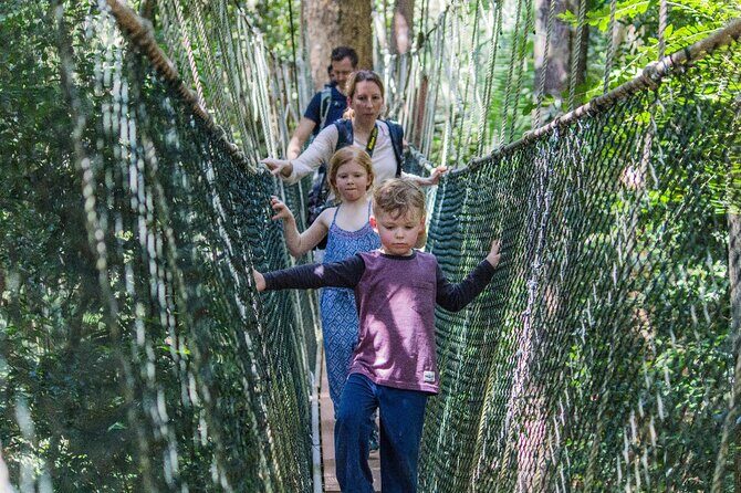 Taman Negara National Park Day Tour with Professional Local Guide - What Travelers Love About This Tour