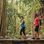 Tamborine Mountain - Hop On Hop Off - From Brisbane - The Experience: What Travelers Are Saying