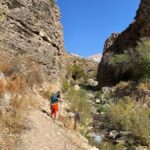 Tashkent: Obi-Rakhmat Cave and Paltau Waterfall Hike - Who Should Consider This Tour?