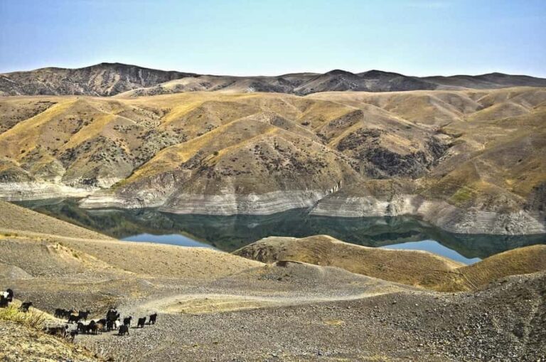 Tashkent: Zomin National Park Day Trip with Cable Car - Starting from Tashkent: Comfortable Transit