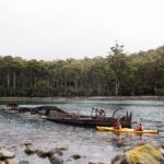 Tasman Peninsula Full-Day Sea Kayak Excursion - Practical Details: What You Need to Know Before You Go
