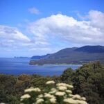 Tasman Peninsula Small-Group Guided Tour From Hobart - A Closer Look at the Itinerary