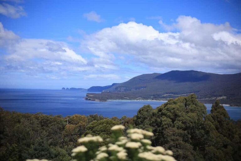 Tasman Peninsula Small-Group Guided Tour From Hobart - A Closer Look at the Itinerary