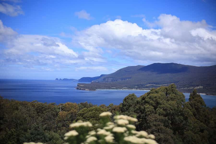 Tasman Peninsula Small-Group Guided Tour From Hobart - A Closer Look at the Itinerary