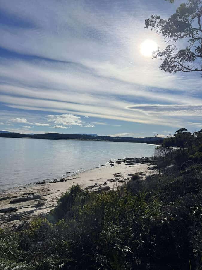 Tasmania: Private Luxury Tour with Custom Itinerary - The Details That Matter