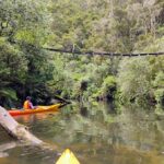 Taup: Hidden Lake Kayak Tour with Sunken Forest Views - Why This Tour Is Worth Considering