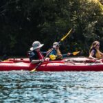 Tauranga: Daytime Scenic Lake McLaren Kayak Tour - Who Will Love This Tour?