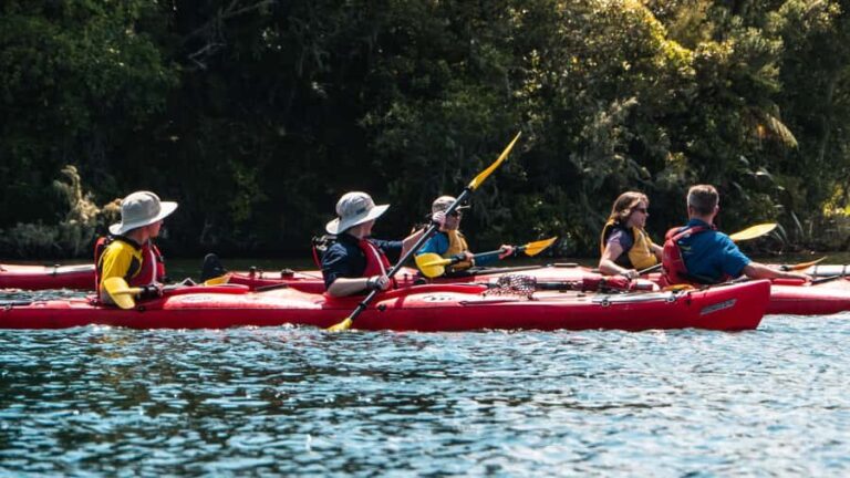 Tauranga: Daytime Scenic Lake McLaren Kayak Tour - Who Will Love This Tour?