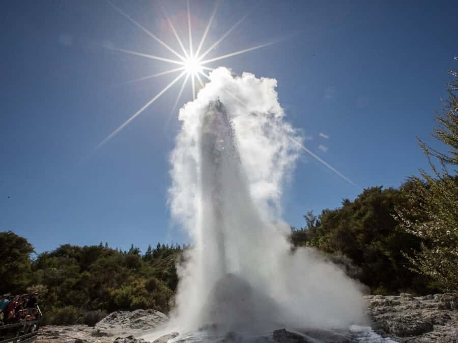 Tauranga: Wai-o-Tapu with Redwood Forest Walk or Forest Spa - An In-Depth Look at the Itinerary