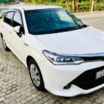 Taxi from Sigiriya or Dambulla to Kandy - Who Should Consider This Service?