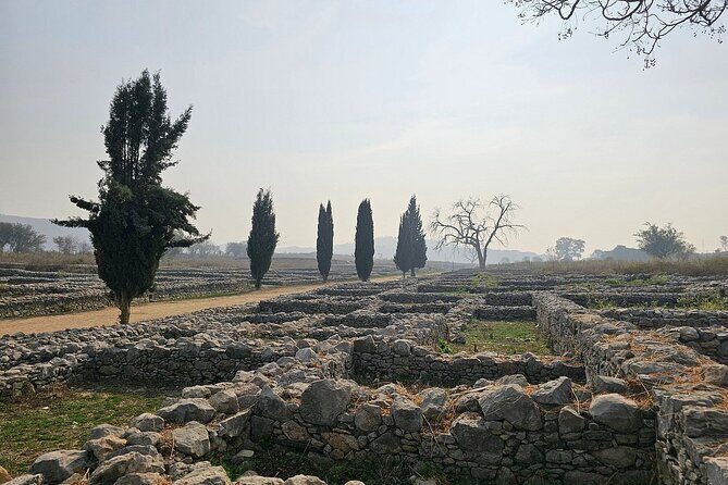Taxila Day Trip from Islamabad Discover Pakistan's Ancient Ruins - Who Should Consider This Tour?