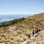 Te Anau: Kepler Track Helicopter Hike with Boat Ride - The Helicopter Flight: First Impressions and Views