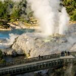 Te Puia: Te P Indigenous Combo - Tour, Dinner + Haka - A Closer Look at the Itinerary