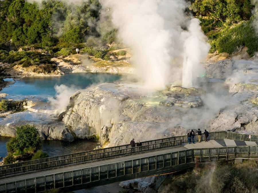 Te Puia: Te P Indigenous Combo - Tour, Dinner + Haka - A Closer Look at the Itinerary