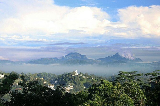 Tea Fields by Bicycle from Kandy - The Sum Up