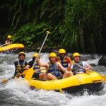 Telagawaja Rafting & East of Bali Tour - The Sum Up