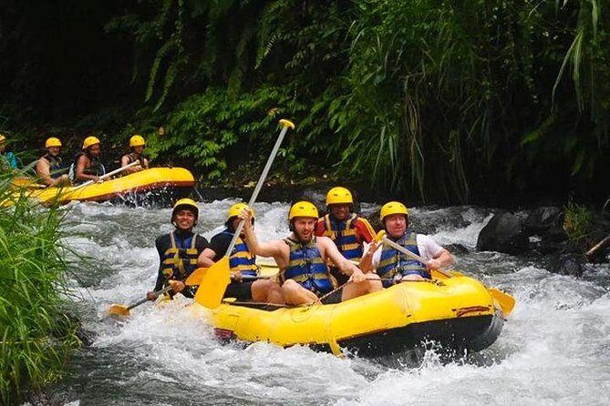 Telagawaja Rafting & East of Bali Tour - The Sum Up