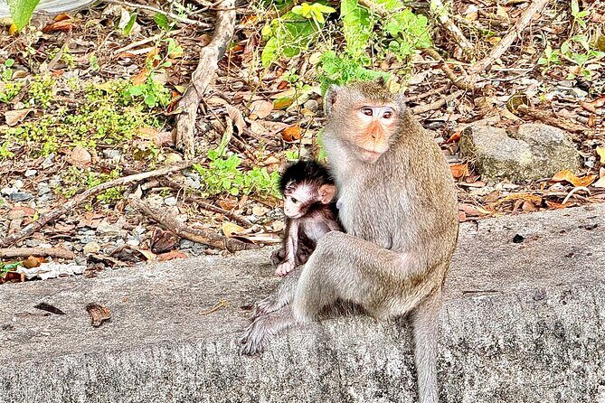Temple and Local Market in Sihanoukville History tour - Who Is This Tour Best For?