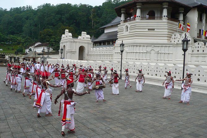 Temple of the Tooth & Royal Botanical Gardens Tour - What the Reviews Say