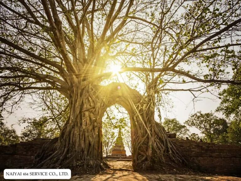 Temple Visits in Ayutthaya and a Walk Through History. - Who Would Love This Tour?