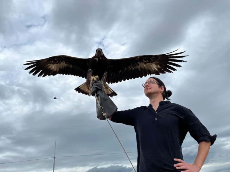 Terelj National Park & Chinggis Khan Statue: Budget Day Tour - Final Thoughts