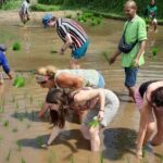 Tetebatu Countryside and Waterfall Day Tour - The Practicalities: What to Expect