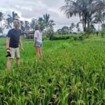 Tetebatu Panorama Walk: Rice Fields, Waterfall & Monkeys - Final Thoughts: Is It Worth It?