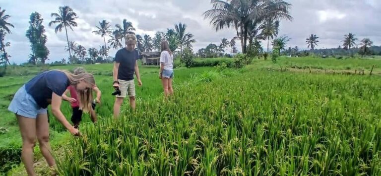 Tetebatu Panorama Walk: Rice Fields, Waterfall & Monkeys - Final Thoughts: Is It Worth It?