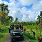 Tetebatu: Rice Fields, Villages, and Waterfalls Tour - What to Expect from the Tour