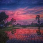 Tetebatu : Ricefield tour,waterfall and monkey forest - Who Is This Tour Best For?