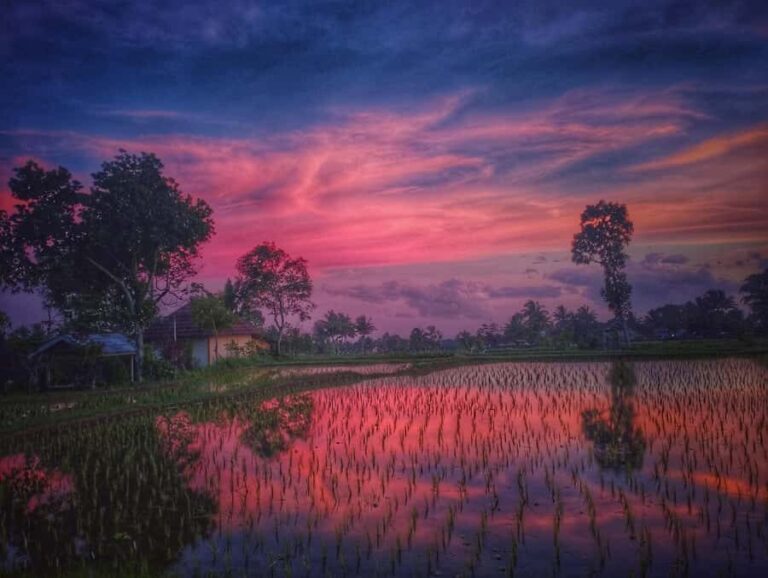 Tetebatu : Ricefield tour,waterfall and monkey forest - Who Is This Tour Best For?