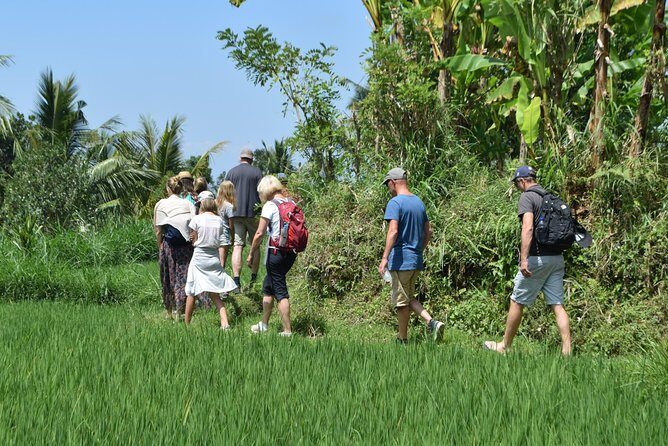 Tetebatu Walking Tour - Rice Terraces, Waterfall & Monkey Forest - What Makes This Tour Stand Out?