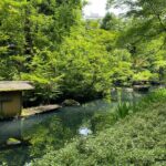 The Art of Beauty in Omotesando's Nezu Garden and Beni Museum - The Nezu Museum: Tranquil Art and Garden