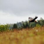 The Astonishing Islands of Tropical Langkawi - Overall Value and Who Should Consider This Tour