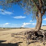 The best of Central Mongolia Guided 3 day Adventure - Authenticity and Unique Experiences