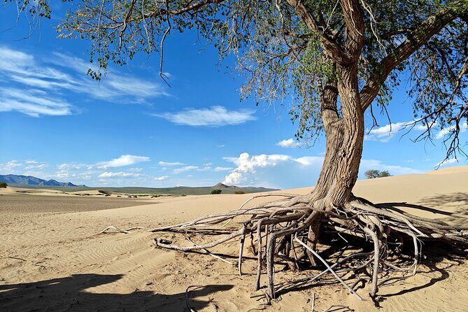 The best of Central Mongolia Guided 3 day Adventure - Authenticity and Unique Experiences