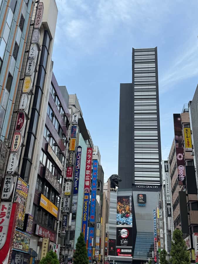 The best of Tokyo in one day  A cultural and spiritual tour - What to Expect: Practical Details