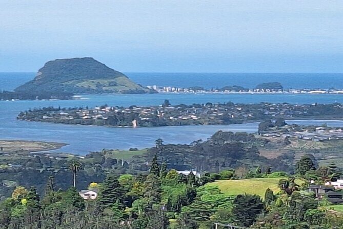 The Big Bay Tour with Te Puna Sculpture garden and Minden Views - Price and Value
