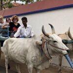 THE Classic of South Tamilnadu and Kerala - Cultural and Architectural Marvels in Tanjore and Chidambaram