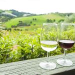 The Epic Waiheke Sundowner, Food And Wine Trip - Exploring Waiheke’s Iconic Vineyards