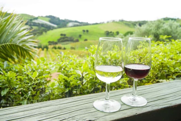 The Epic Waiheke Sundowner, Food And Wine Trip - Exploring Waiheke’s Iconic Vineyards