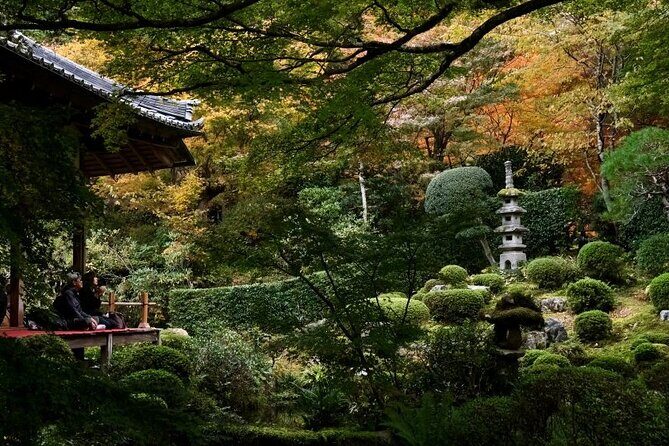 The Essence of Water in Japan 4 Days Charter Car Tour from Kyoto - Who Will Love This Tour?