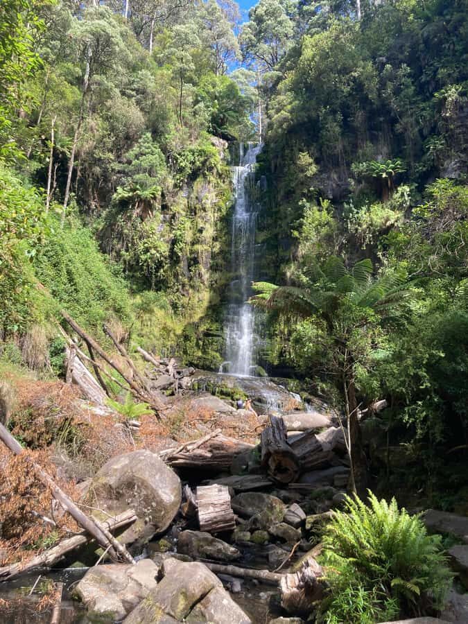 The Great Ocean Road Private Day Trip
